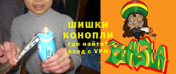 шишки Медвежьегорск
