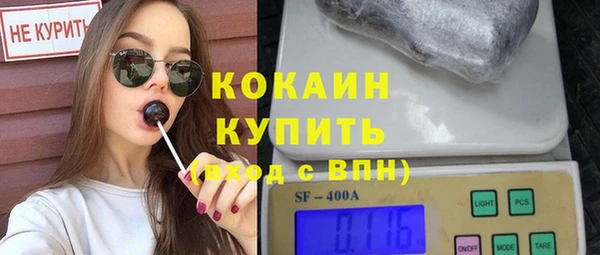 шишки Медвежьегорск