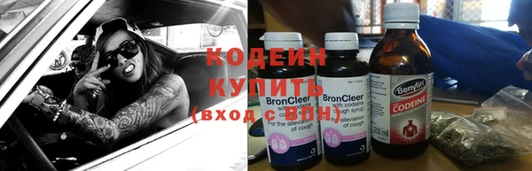 шишки Медвежьегорск