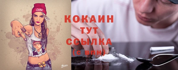 шишки Медвежьегорск