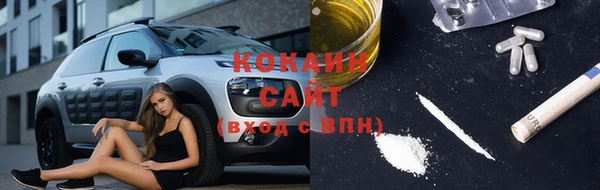 сатива Медногорск