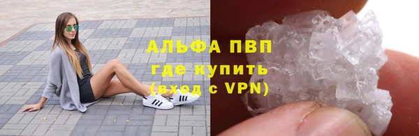 сатива Медногорск