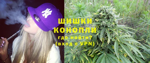 шишки Медвежьегорск