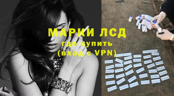 сатива Медногорск