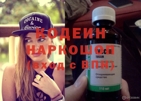 шишки Медвежьегорск