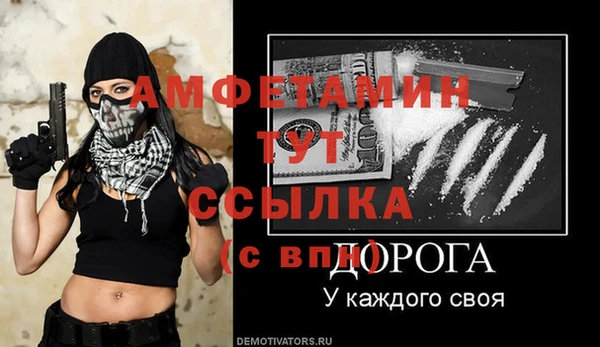 шишки Медвежьегорск