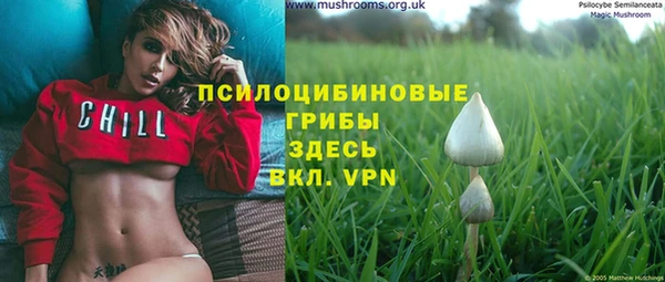 шишки Медвежьегорск