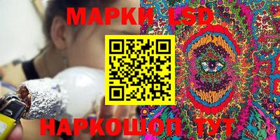 PSILOCYBIN Камышлов