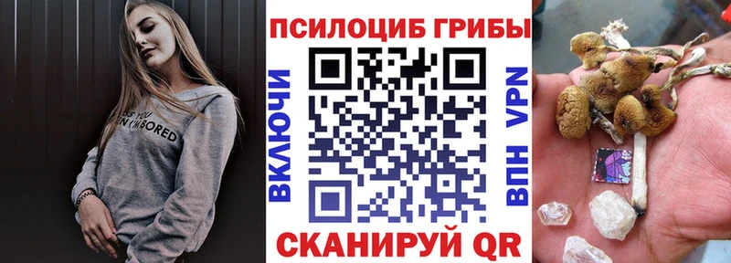 Псилоцибиновые грибы Magic Shrooms  Сухой Лог 