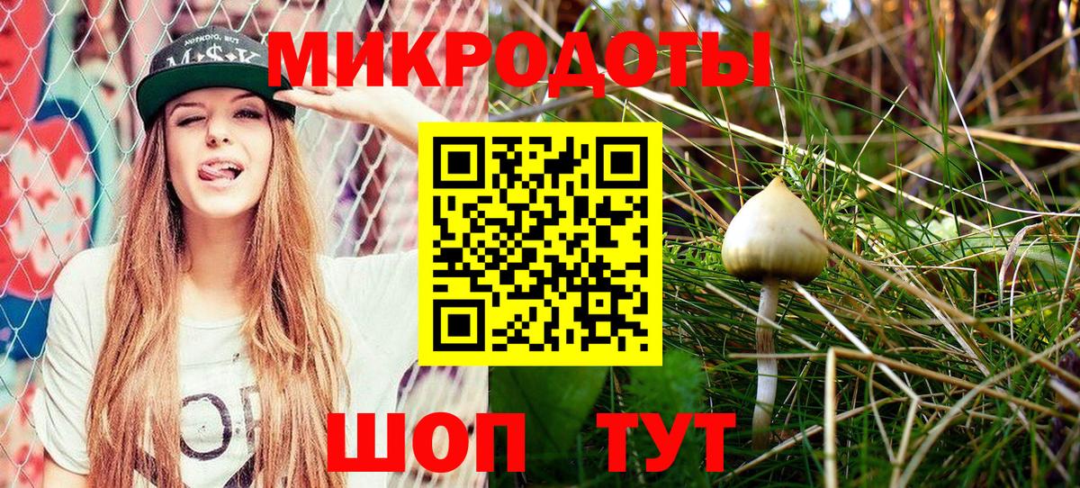 Галлюциногенные грибы мицелий  Галлюциногенные грибы GOLDEN TEACHER  Сухой Лог  наркошоп  Вход с VPN 