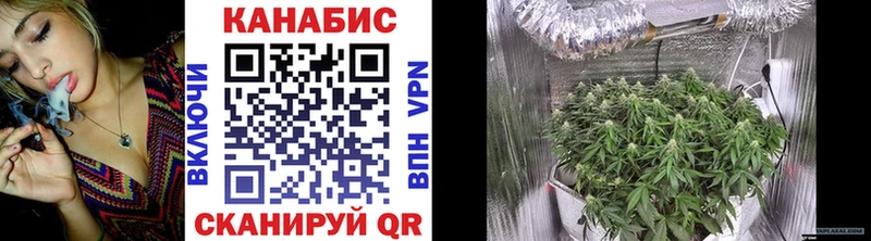Бошки Шишки планчик  Сухой Лог 